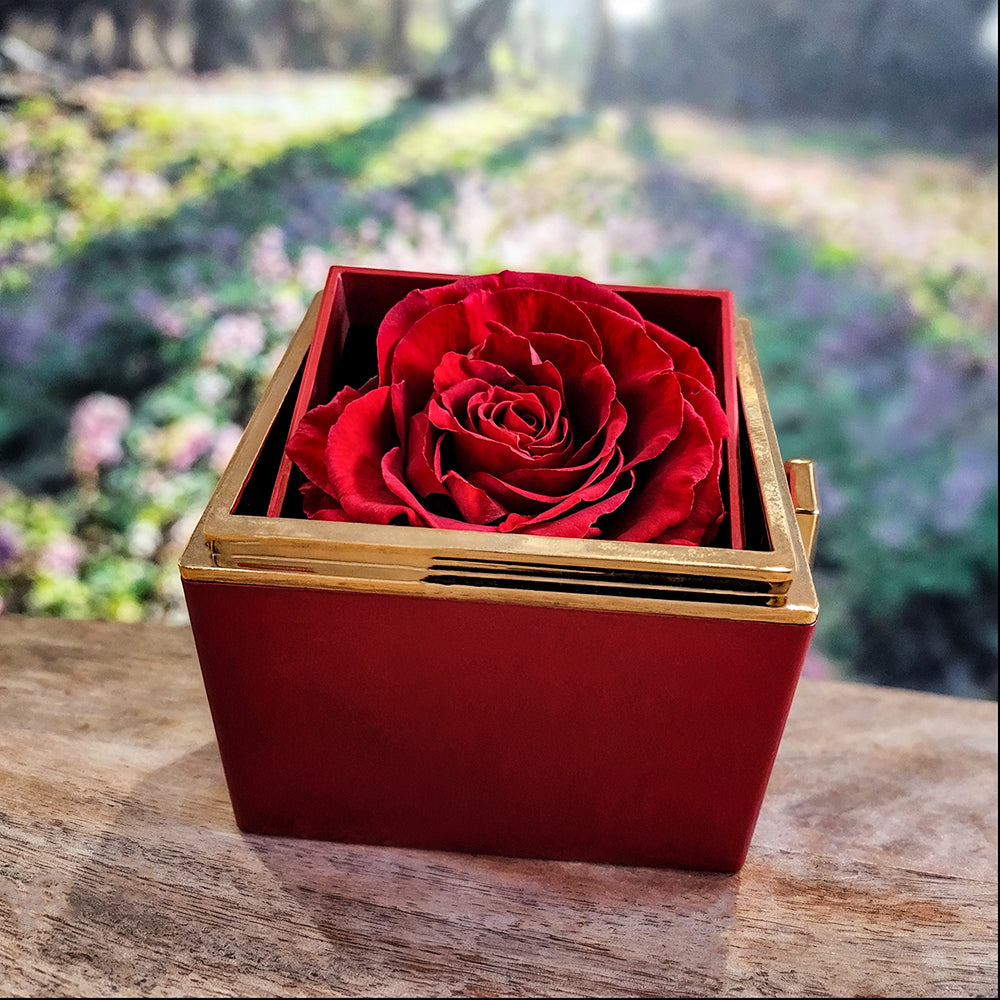 Love Knot with Rotating Rose Gift Box